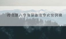 按生辰八字免费取名字大全男孩