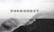 好听的亲情漫画名字