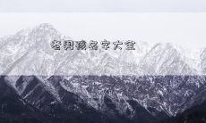 老男孩名字大全