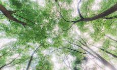 属马的人2019年5月运势查询