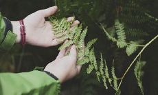 80岁依旧生龙活虎的人手相如何看
