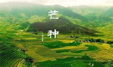 1995年芒种出生的属猪人命运如何,属猪性格优缺点解析