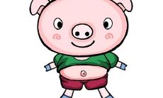 属猪2019年运势及运程