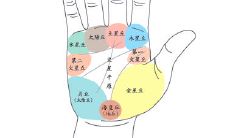 手相中掌丘中每个部分有什么作用？
