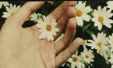 手相之节纹-大拇指的的纹路看命运