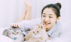 桃花眼和杏眼有什么区别
