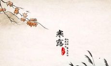 寒露有什么民间习俗 2019年寒露是几时几分？