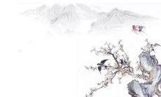 2019年九月九重阳节应该吃什么,重阳吃什么传统食物？
