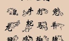 看属相查犯八败命