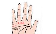 离婚的手相特征