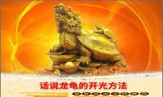 话说龙龟的开光方法