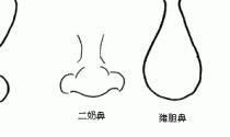 女人鼻子厚的面相好不好,鼻大代表着什么