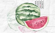 2019年7月7日小暑日子好不好.今年小暑是出殡行丧吉日吗？