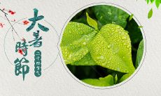 大暑的忌讳有哪些 2019年大暑的卦象如何?