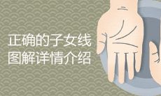 正确的子女线图解详情介绍